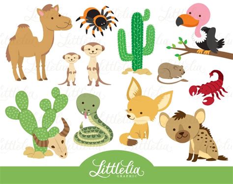 Desert animal clipart animal clipart desert clipart