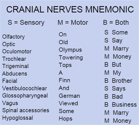 Cranial Nerves Mnemonic 001 | Nursing | Pinterest | Cranial nerves mnemonic, Cranial nerves and ...