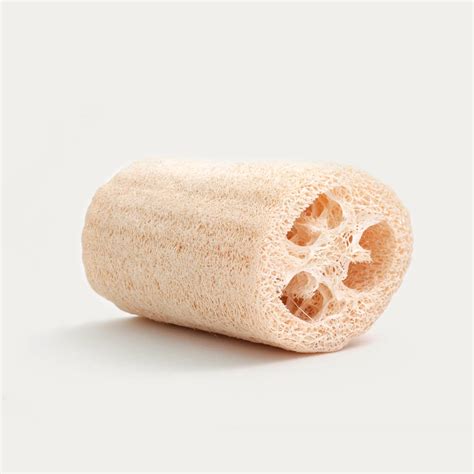 Loofah Sponge 100% natural (Vegan, Biodegradable) €4,49 - AbsolutAloe