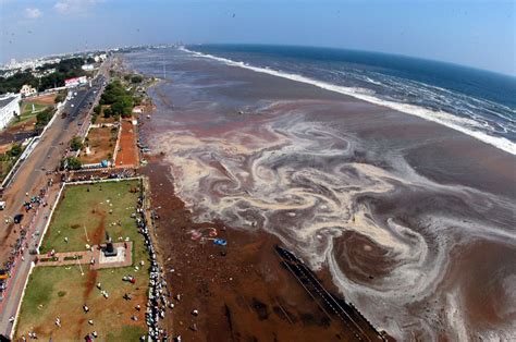 Diez años después del Tsunami - Se cumplen 10 años del terremoto de ...