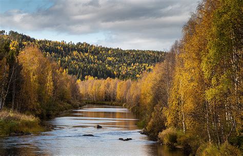 Most Spectacular National Parks in Sweden | Original Travel - Original ...