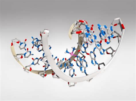 Cisplatin drug interaction Photograph by Science Photo Library - Fine ...