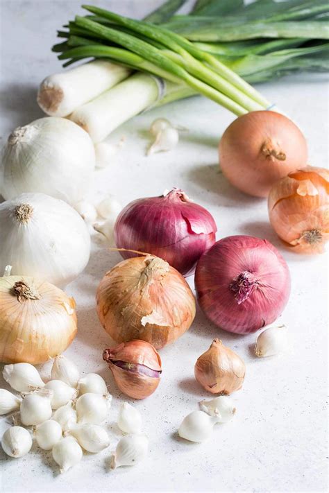 Types of Onions (And How to Use Them)- Savory Simple