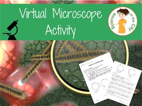 Virtual Microscope Lab Activity by Science in the City | Teachers Pay Teachers