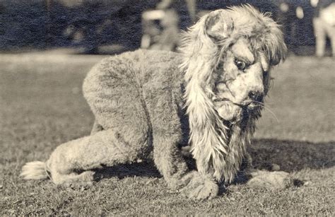 deep space daguerreotype: The Penn State Lion Mascot, 1922