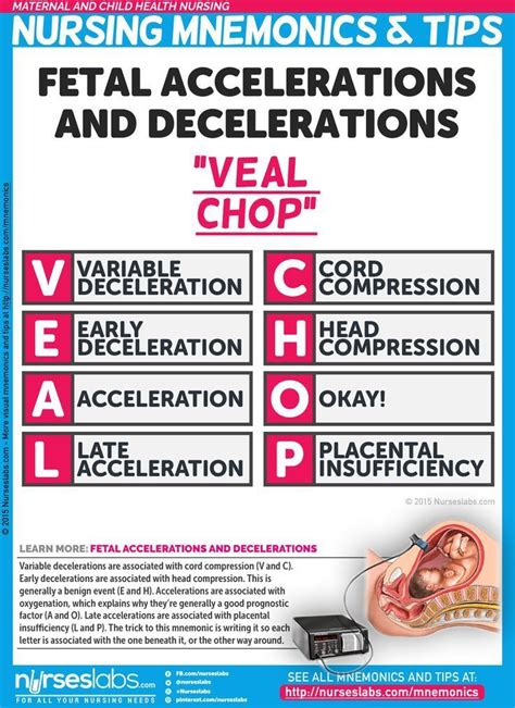 Fetal Accelerations and Decelerations Nursing Mnemonic (VEAL CHOP ...