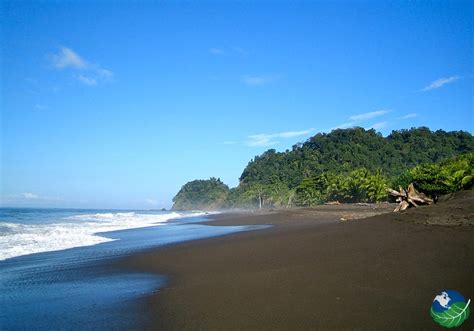 Hermosa Beach Costa Rica - Awesome Surfing Beach near Jaco!