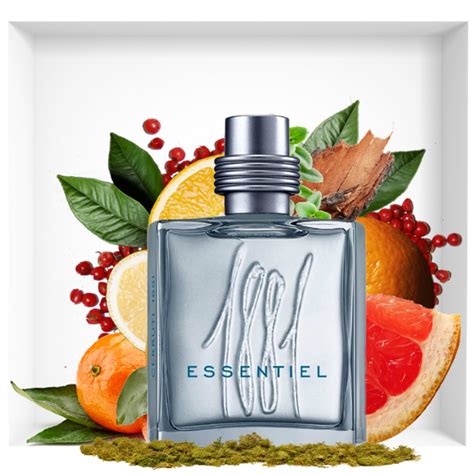 1881 Essentiel, a new fragrance for men from Cerruti | Perfume and ...