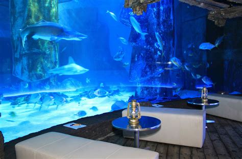 Book Venue Hire at Sealife London Aquarium. A London Venue for Hire ...