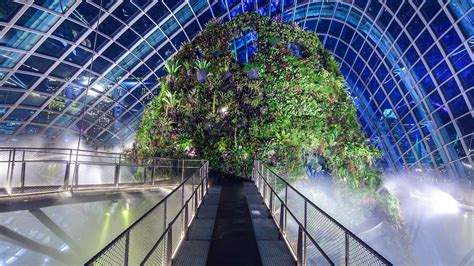 Gardens By The Bay Cloud Forest