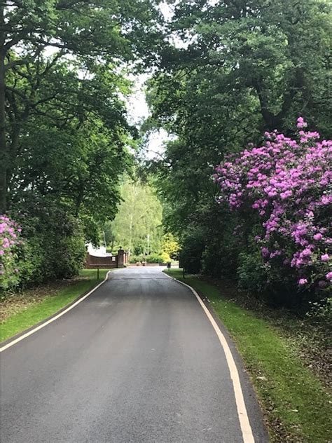 Don Amott Parks - The rhododendrons are in full bloom as...