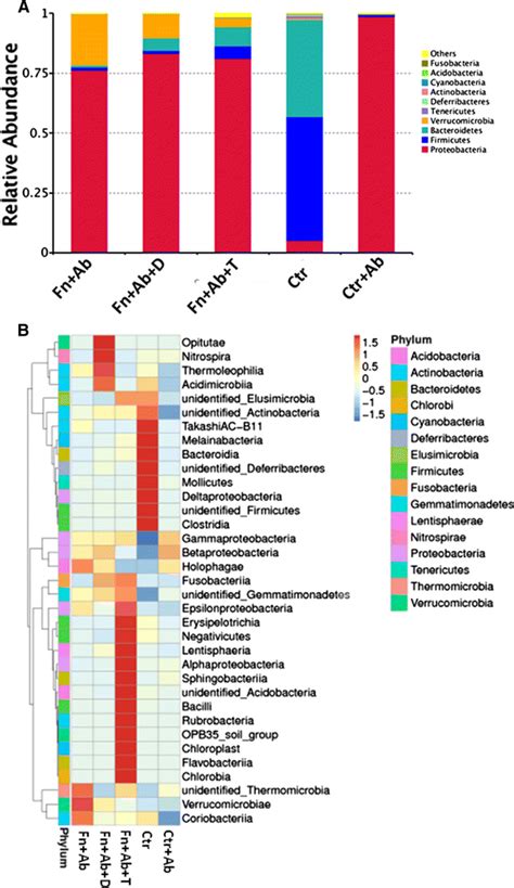 The effect of F. nucleatum or antibiotics on the composition and... | Download Scientific Diagram