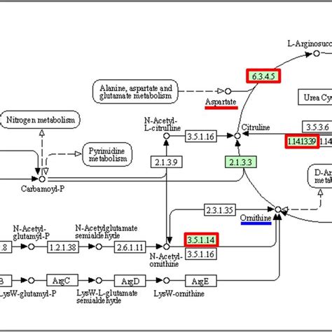 The scheme of glycine, serine and threonine metabolism extracted from ...