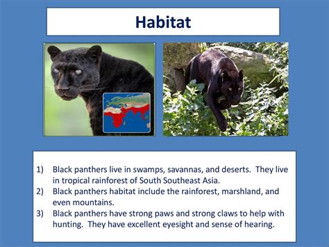 Black Panther Habitat Map