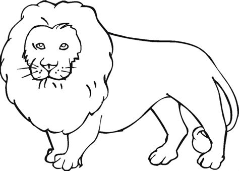 Lion Outline Drawing - ClipArt Best