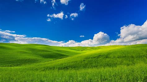 25 Sky and Grass Wallpapers - Wallpaperboat