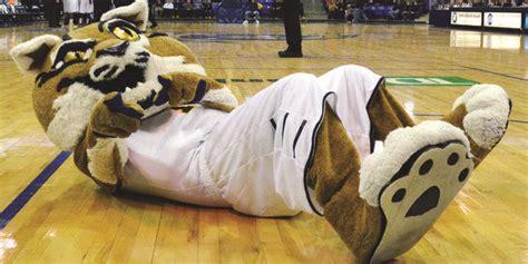 Meet the mascot - The Quinnipiac Chronicle