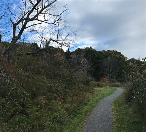 8 Easy Hiking Trails Near Portland, Maine