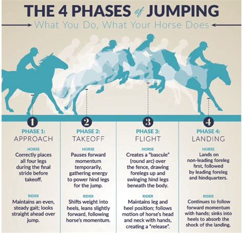 Jumping | Horse riding tips, Horse camp, Horse exercises