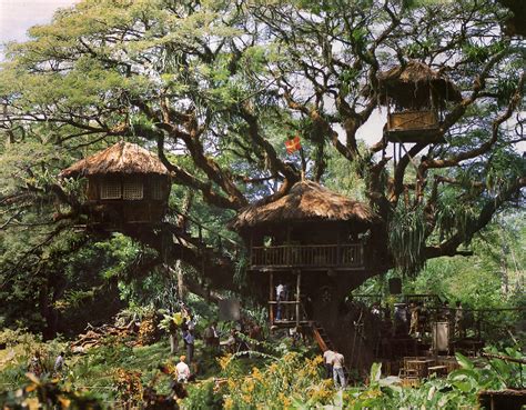 Swiss Family Robinson Treehouse Movie Set | The original mov… | Flickr