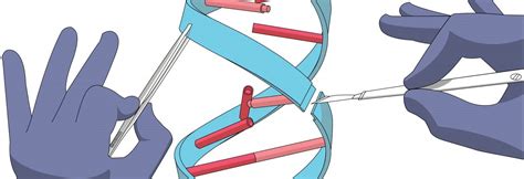 Sickle Cell Anemia Studies Cover Two Types of CRISPR Gene Editing