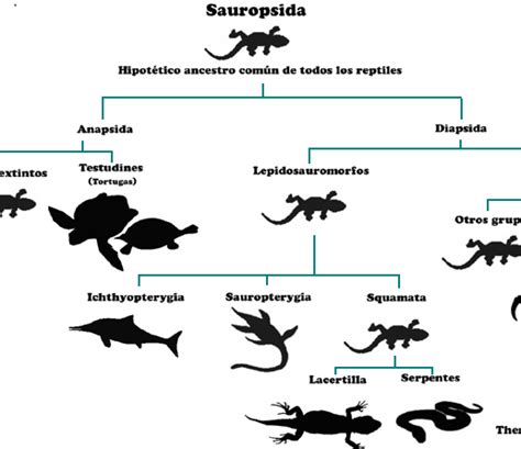 Paleontología y Evolución en la UCM: "Cariño, ¿Dónde pusistes los huevos?": Una nueva hipótesis ...