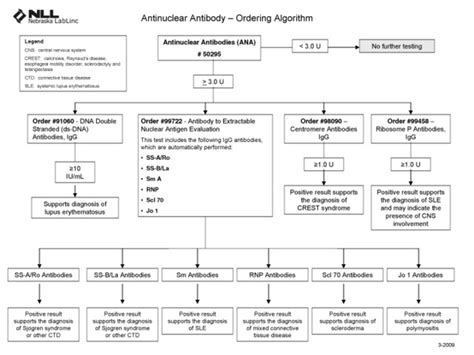 arenaFlex - Blog