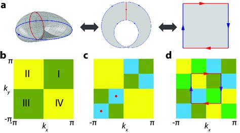 Real projective plane in momentum space. a. Folding a real projective... | Download Scientific ...