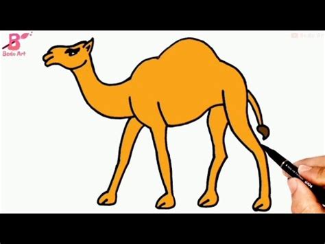 رسم جمل خطوة بخطوة للمبتدئين | تعلم كيف ترسم جمل (camel) - YouTube