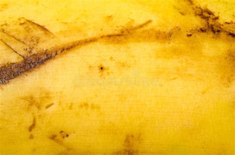 Banana peel texture stock image. Image of nature, interesting - 14120837