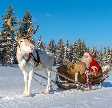 Santa Claus' reindeer sleigh ride at Ritavaara in Pello in Lapland - Travel Pello - Lapland, Finland