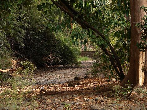 Navegaon National Park - Explore Maharashtra