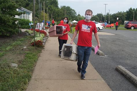 REPOST- Animal Shelter Volunteers: They Do It All - Alexandria Animals