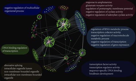 The genes regulated by the six regulators and their gene modules in the... | Download Scientific ...