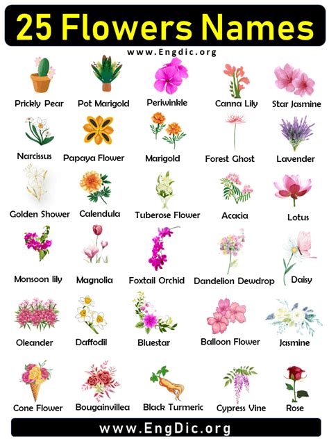 What Are Some Cute Flower Names at Robert Lynn blog