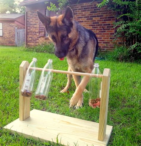 DIY Dog Treat Game | Do it yourself ideas and projects