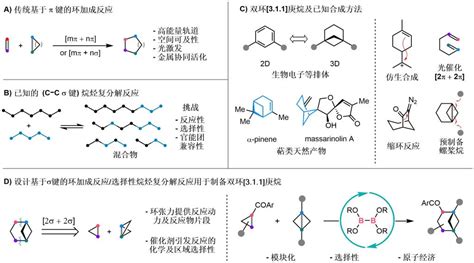 前沿院李鹏飞教授课题组在药物中苯环三维生物电子等排体的合成方面取得重要进展-西安交通大学前沿科学技术研究院