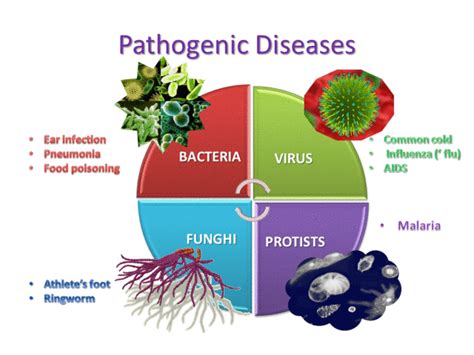 CC.1.5.- Pathogens and Disease: Definitions, Types and Causes | Quiz