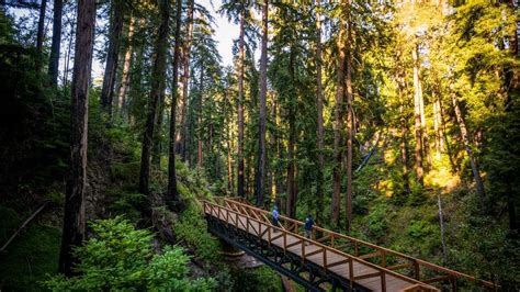 Big Sur CA trail Pfeiffer Falls reopens after repairs | Sacramento Bee