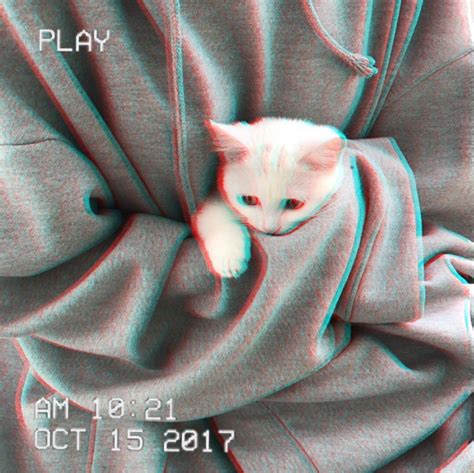 Aesthetic Cat Wallpapers - Wallpaper Cave