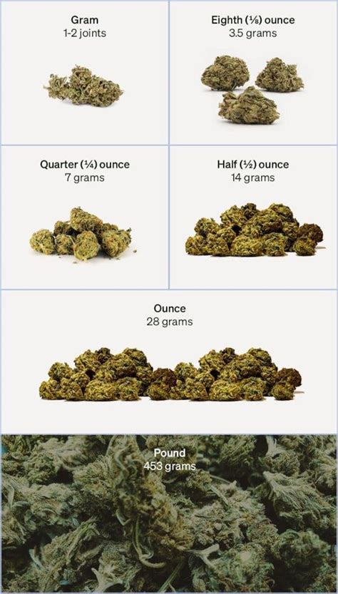 Quarter Bag Of Weed Weight | Blog Dandk