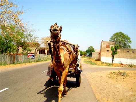 Surajgarh Fort - An Amritara Hideaway, Rajasthan - Tripoto