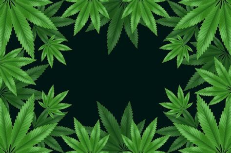 Free Vector | Botanical cannabis leaf background