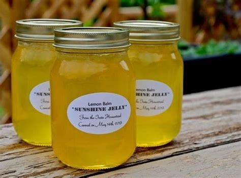 Lemon Balm Jelly | Just A Pinch Recipes