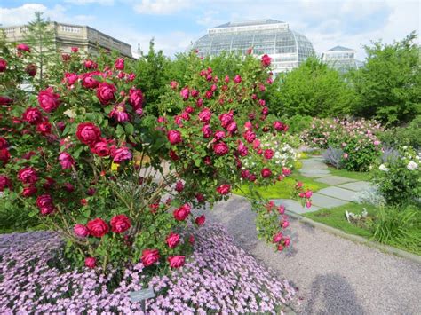 Gardens & Plants | United States Botanic Garden