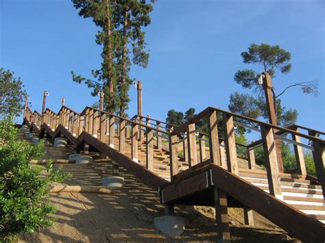 The Hillcrest Park "Disposable" Stairs to Nowhere - Friends For ...