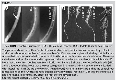 TurfCare™ Academy: The Science Behind Humic Substances