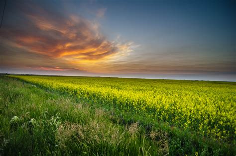 2736x1824 resolution | green field during sunset HD wallpaper | Wallpaper Flare