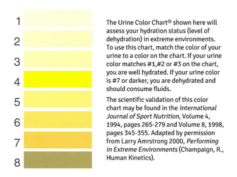 Yes, Your Urine Color DOES Have Meaning