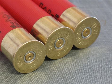 12 gauge shotgun shells